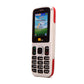 TTfone Red TT130 Dual Sim - Warehouse Deals with Mains Charger and Giff Gaff Pay As You Go